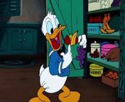 Donald Duck Trick or Treat Disney toon from vio toon