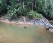 This dog loved swimming in the water on a rocky terrain. They eagerly swam through the mini water body while their owner and the other dog watched them swim.