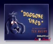 TEX AVERY MGM CARTOON_ Doggone Tired (1949) (HD 1080p) from bonnie the nostalgia tex avery screwball classics deputy droopy