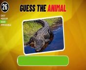 Can you name 50 animals within just 3 seconds? Test your animal knowledge with this challenging quiz! Think you can guess 50 animals in 3 seconds? Take on the easy, medium, hard, and impossible levels to find out! With this guess the animal game, you&#39;ll have to use your skills to identify a variety of animals from around the world. Challenge yourself and see if you can guess all 50 animals in 3 seconds!&#60;br/&#62;&#60;br/&#62;#quiz &#60;br/&#62;#quizzes &#60;br/&#62;#quiztime