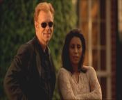 CSI Miami High Definition 4K Videos / A Florida team of forensics investigators uses cutting-edge scientific methods and old-fashioned police work to solve crimes. Horatio Caine, a former homicide detective, heads a group of investigators who work crimes amid the steamy tropical surroundings and cultural crossroads of Miami. &#60;br/&#62;&#60;br/&#62;Evidence on a lost, blood-soaked toddler leads the CSI team to her home where each family member&#39;s spilled blood tells a tale of horror. Wanda De Jesus guest stars.