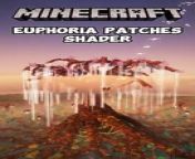 minecraft-euphoria-patches from rsp patch 2016