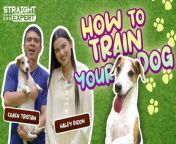 Gather around fur parents, it’s time for a lesson! Specifically, some dog training tips delivered straight to you by dog trainer Tristan Heurtas!&#60;br/&#62;&#60;br/&#62;Check out this episode of Straight from the Expert to learn some tips and tricks when it comes to training your dog, as well as find out how to correct some of your fur baby’s behavioral problems.&#60;br/&#62;&#60;br/&#62;#GMALifestyle #StraightFromTheExpert