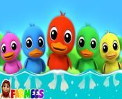 Five Little Ducks by Farmees is a nursery rhymes channel for kindergarten children.These kids songs are great for learning alphabets, numbers, shapes, colors and lot more. We are a one stop shop for your children to learn nursery rhymes. &#60;br/&#62;.&#60;br/&#62;.&#60;br/&#62;.&#60;br/&#62;.&#60;br/&#62;#fivelittleducks #nurseryrhymes #cartoon #farmees #learningvideos #singalong #kindergarten #babysongs