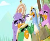 Angry Birds Summer Madness S03 E001 from zig sharko s03