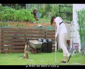 Love is like a cat Ep 8 Engsub from tec cat