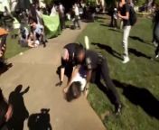 ‘I barely did anything’_ Video shows Emory professor thrown to the ground, arrested during protes... from madison morahan