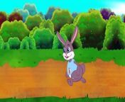 Tortoise and the Hare CartoonFairy Tales and Bedtime Stories for Kids_Story time. from amar hare kala