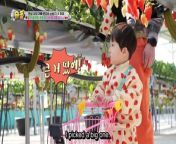 The Return of Superman EP 529 ENG SUB