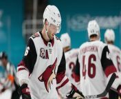 Arizona Coyotes Relocate to Salt Lake City: Impact and Analysis from y8r az xbcw