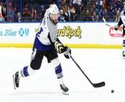 Tampa Bay Lightning Faces Critical Game Against Panthers from my face joi