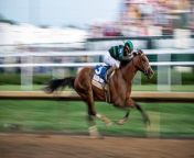 150th Kentucky Derby: By the Betting Business Numbers from roary the racing car end credits