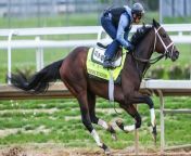 Kentucky Derby Odds: Horses to Watch in the Upcoming Race from video pakistan aur bet