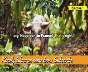 10 Unbelievable Facts Only Found in France from 10 careers found in agriculture