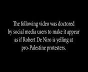 Fact check: Robert De Niro is NOT shouting at pro-Palestinian protesters in viral video from prova pro video aaa