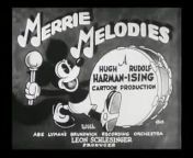 Lady Play Your Mandolin - LOONEY TUNES CARTOONS from tune kah jab se song