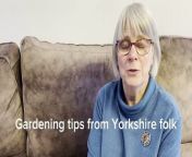 There&#39;s nowt as queer as Yorkshire folk as they say and we&#39;re good at t&#39;old comedy rather than getting green fingered it seems. Here is our Vox for National Gardening Week.