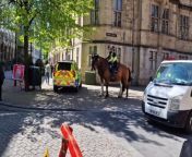 Two officers on huge horses took control of their steeds as they set off on patrol in Sheffield city centre.&#60;br/&#62;The riders steadied their mounts on Suffolk Street by the town hall before heading down Norfolk Street and on to Tudor Square, which is the focus of World Snooker activities.&#60;br/&#62;After horses from the Household Cavalry bolted through central London last week, snooker fans were reassured to see the beasts under tight control.