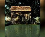 Mississippi River Flood of 1927 (AI Colourised Documentary) from ai amar shohor