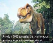 Dinosaurs ruled the Earth long before even our distant ancestors. However, despite previous studies suggesting that these prehistoric behemoths were dumb, recent studies have been mixed about T-Rex. So was the tyrannosaur smart or not?