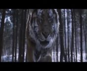 This is The most badass lion and tiger roar in the movies. &#60;br/&#62;This video contains scenes of the coolest tiger and lion roar in the movie. Tiger king roar from tales of the tiger, lion roar from Jurassic world, and Aslan roar from Narnia battle of Beluga.