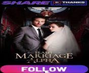 flash marriage with my alpha PART 1 from the flash season free download
