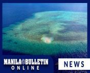 The country&#39;s territorial row with China in the West Philippine Sea (WPS) should not divide the nation, instead it should bring the people together towards a common goal which is to defend the area from any foreign intrusion.&#60;br/&#62;&#60;br/&#62;This was the call made by Commodore Jay Tarriela, Philippine Coast Guard (PCG) spokesperson for WPS, as he noted that the nation must remain focused on the coercive actions of China in the disputed waters.&#60;br/&#62;&#60;br/&#62;READ MORE: https://mb.com.ph/2024/5/12/stand-united-don-t-be-divided-on-wps-issue&#60;br/&#62;&#60;br/&#62;Subscribe to the Manila Bulletin Online channel! - https://www.youtube.com/TheManilaBulletin&#60;br/&#62;&#60;br/&#62;Visit our website at http://mb.com.ph&#60;br/&#62;Facebook: https://www.facebook.com/manilabulletin&#60;br/&#62;Twitter: https://www.twitter.com/manila_bulletin&#60;br/&#62;Instagram: https://instagram.com/manilabulletin&#60;br/&#62;Tiktok: https://www.tiktok.com/@manilabulletin&#60;br/&#62;&#60;br/&#62;#ManilaBulletinOnline&#60;br/&#62;#ManilaBulletin&#60;br/&#62;#LatestNews&#60;br/&#62;