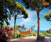 Oggy and the Cockroaches Season 03 Hindi Episode 39 The Cicada and the Cockroach from cartoon oggy