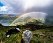 The Scotsman Readers Gallery 2022 - A selection of some of the great images sent in by our readers throughout the year