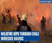 Dozens of raging wildfires in Chile claimed at least thirteen lives and torched some 14,000 hectares as a summer heatwave sweeps across the southern hemisphere country. State of a catastrophe has been declared in the farming and forest areas of Biobio and neighbouring Nuble, prompting the deployment of soldiers and additional resources &#60;br/&#62; &#60;br/&#62;#Chile #Wildfire #ClimateEmergency