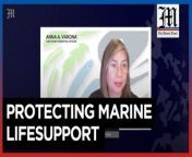 Haribon exec cites long term effects of Mindoro oil spill&#60;br/&#62;&#60;br/&#62;Anna Varona, Haribon Foundation chief operating officer, talks to The Manila Times about the long term effects of the oil spill in Mindoro on the environment, livelihood and daily lives of the affected residents and reforms that the maritime industry can adopt to ensure that marine ecosystems and fishing grounds are protected.&#60;br/&#62;&#60;br/&#62;VIDEO AND INTERVIEW BY EZRAH RAYA&#60;br/&#62;&#60;br/&#62;Subscribe to The Manila Times Channel - https://tmt.ph/YTSubscribe&#60;br/&#62;&#60;br/&#62;Visit our website at https://www.manilatimes.net&#60;br/&#62;&#60;br/&#62;Follow us:&#60;br/&#62;Facebook - https://tmt.ph/facebook&#60;br/&#62;Instagram - https://tmt.ph/instagram&#60;br/&#62;Twitter - https://tmt.ph/twitter&#60;br/&#62;DailyMotion - https://tmt.ph/dailymotion&#60;br/&#62;&#60;br/&#62;Subscribe to our Digital Edition - https://tmt.ph/digital&#60;br/&#62;&#60;br/&#62;Check out our Podcasts:&#60;br/&#62;Spotify - https://tmt.ph/spotify&#60;br/&#62;Apple Podcasts - https://tmt.ph/applepodcasts&#60;br/&#62;Amazon Music - https://tmt.ph/amazonmusic&#60;br/&#62;Deezer: https://tmt.ph/deezer&#60;br/&#62;Stitcher: https://tmt.ph/stitcher&#60;br/&#62;Tune In: https://tmt.ph/tunein&#60;br/&#62;Soundcloud: https://tmt.ph/soundcloud&#60;br/&#62;&#60;br/&#62;#TheManilaTimes&#60;br/&#62;#DailyNews&#60;br/&#62;#Haribon&#60;br/&#62;#Mindoro&#60;br/&#62;#OilSpill
