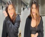 Priyanka Chopra will be reportedly attending the opening night of the Jio MAMI Film Festival 2023. It will take place this year from October 27 to November 5. Watch video to know more... &#60;br/&#62; &#60;br/&#62;#PriyankaChopra #PriyankaChopraIndia #PriyankaChopraSpotted &#60;br/&#62;~PR.133~ED.141~