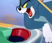 Tom And Jerry - 054 - Cue Ball Cat (1950)S1950e08