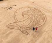 A Pembrokeshire sand artist took to Tenby’s North Beach this month to highlight her creations for ITV Wales’ Coast and Country.&#60;br/&#62;&#60;br/&#62;Rachel Shiamh (partner of the late inspirational sand artist Marc Treanor) returned to Tenby to create a wonderful whale in tribute to the humpback that glided into local shores recently at Fishguard &amp; Goodwick Bay, and also to highlight campaigns and bring awareness to culling that still occurs in parts of the UK.&#60;br/&#62;She met with one of the show’s hosts Sean Fletcher on the beach to discuss her work.&#60;br/&#62;&#60;br/&#62;Marc Treanor who lived in Dinas Cross, sadly passed away back in the summer of 2020, when he tragically drowned on a trip to Cornwall, but his memorable work, which often carried a message, and raised awareness of certain issues, will live long in the memory of anyone who witnessed, either in person, or via social media, where his coastal creations would often go viral, gaining thousands of likes and shares.&#60;br/&#62;&#60;br/&#62;Rachel is making sure Marc’s legacy lives on, by continuing to create masterpieces across the county’s beaches, vowing to continue creating such eye-catching sand sketches, and with it his environmental message.&#60;br/&#62;&#60;br/&#62;“A day of grace - as the sun shone down upon this homage to the Whale and in particular to the humpback who glided into our local shores recently,” said Rachel, who resides in St Dogmaels, in an eco-house, after ‘letting go’ of a dance career many years ago, so she could connect more fully with nature.&#60;br/&#62;“Such a great crew, canvas and climate.”&#60;br/&#62;&#60;br/&#62;She told the Observer last year: “I learnt so much from Marc and he encouraged my own creativity. When he unexpectedly passed it felt for me like medicine to take to the sands and create and so it has continued.&#60;br/&#62;“Marc’s passing created a beautiful connection of a wider network of sand artists all around the globe - we offer a unique expression of our artwork to the one ocean - a light grid across the planet!&#60;br/&#62;“I’m now part of a global sand art community which was forged then, as many sand artists were following his art.”&#60;br/&#62;&#60;br/&#62;Rachel’s own Facebook page can be found by searching for ‘Rachel Shiamh a Quiet Earth’ whilst her Instagram profile is: rachelshiamhquietearth&#60;br/&#62;You can also check out her website at: www.quietearth.org.uk&#60;br/&#62;&#60;br/&#62;The episode for Coast and Country is scheduled to be screened on ITV Wales sometime in April.&#60;br/&#62;&#60;br/&#62;Photos: ©James Harries Multimedia Ltd