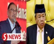 The decree by Selangor Ruler Sultan Sharafuddin Idris Shah could put to rest political criticisms of the Federal Court ruling involving the Kelantan syariah criminal enactment, says Datuk Seri Anwar Ibrahim.&#60;br/&#62;&#60;br/&#62;The Prime Minister, in his speech at a Chinese New Year celebration on Thursday (Feb 15), said the decree reflects the seriousness of the Sultan of Selangor and Malaysian National Council for Islamic Religious Affairs (MKI)to defend the spirit and principles of the Federal Constitution.&#60;br/&#62;&#60;br/&#62;Read more at http://tinyurl.com/4t3rkuzv&#60;br/&#62;&#60;br/&#62;WATCH MORE: https://thestartv.com/c/news&#60;br/&#62;SUBSCRIBE: https://cutt.ly/TheStar&#60;br/&#62;LIKE: https://fb.com/TheStarOnline