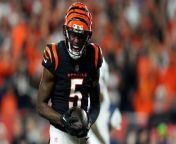 Will the Bengals Pay up for Tee Higgins or Risk a Holdout? from duke son