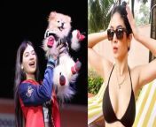 &#39;Got Wiper To Hit Me, Threw Chappal At My Dog&#39;: Bigg Boss 11 Fame Bandgee Kallra Accuses Neighbour Of Threatening Her. To know more about it please watch the full video till the end. &#60;br/&#62; &#60;br/&#62;#bandagikalra #bandagidoghits #bandagicase&#60;br/&#62;~HT.99~PR.262~ED.140~