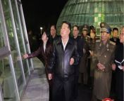 North Korea: Kim Jong-un bans keeping dogs as pets as it 'is incompatible with the socialist lifestyle' from kim renu se