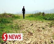 There are more than 103,000ha of abandoned agricultural lands nationwide, says Datuk Arthur Joseph Kurup.&#60;br/&#62;&#60;br/&#62;The Deputy Agriculture and Food Security Minister told the Dewan Rakyat on Wednesday (March 20) that the 46,382 lots in the peninsular, including the Federal Territory of Labuan, are privately owned.&#60;br/&#62;&#60;br/&#62;Read more at https://tinyurl.com/26s2rwv7 &#60;br/&#62;&#60;br/&#62;WATCH MORE: https://thestartv.com/c/news&#60;br/&#62;SUBSCRIBE: https://cutt.ly/TheStar&#60;br/&#62;LIKE: https://fb.com/TheStarOnline