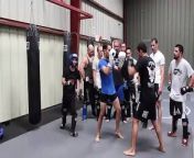 MMA Fighters do the Harlem shake at the gym