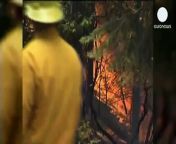 Firefighters are confident that favourable weather conditions will help in the battle against the huge Sierra Nevada wildfire, which been devouring the forests of California since August 17.