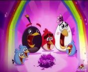 The 25th Angry Birds toon episode...Enjoy