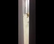 US Olympic luger Kate Hansen tweeted a video that showed a wolf wandering the hallways of her dorm in Sochi.