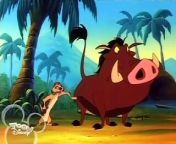 Timon and Pumbaa - Paraguay Parable from argentuna vs paraguay 2015 খি আলমগির