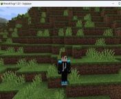 Minecraft WORLD SINGLEPLAYER video from minecraft java edition mods download tools
