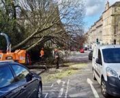 Large trees fall in Dundas Street after Storm Kathleen hits Edinburgh from video storm