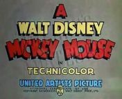 Mickey s Amateurs Disney Toon from vio toon