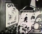 OPERA NIGHT from www opera mani com video