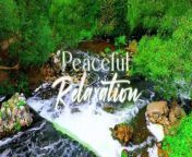 Beautiful Relaxing Music - Peaceful Soothing Instrumental Music, Stress Relief, Deep Focus Music from instrumental mus m