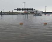 Submerged cars in Al quoz from i carly japan